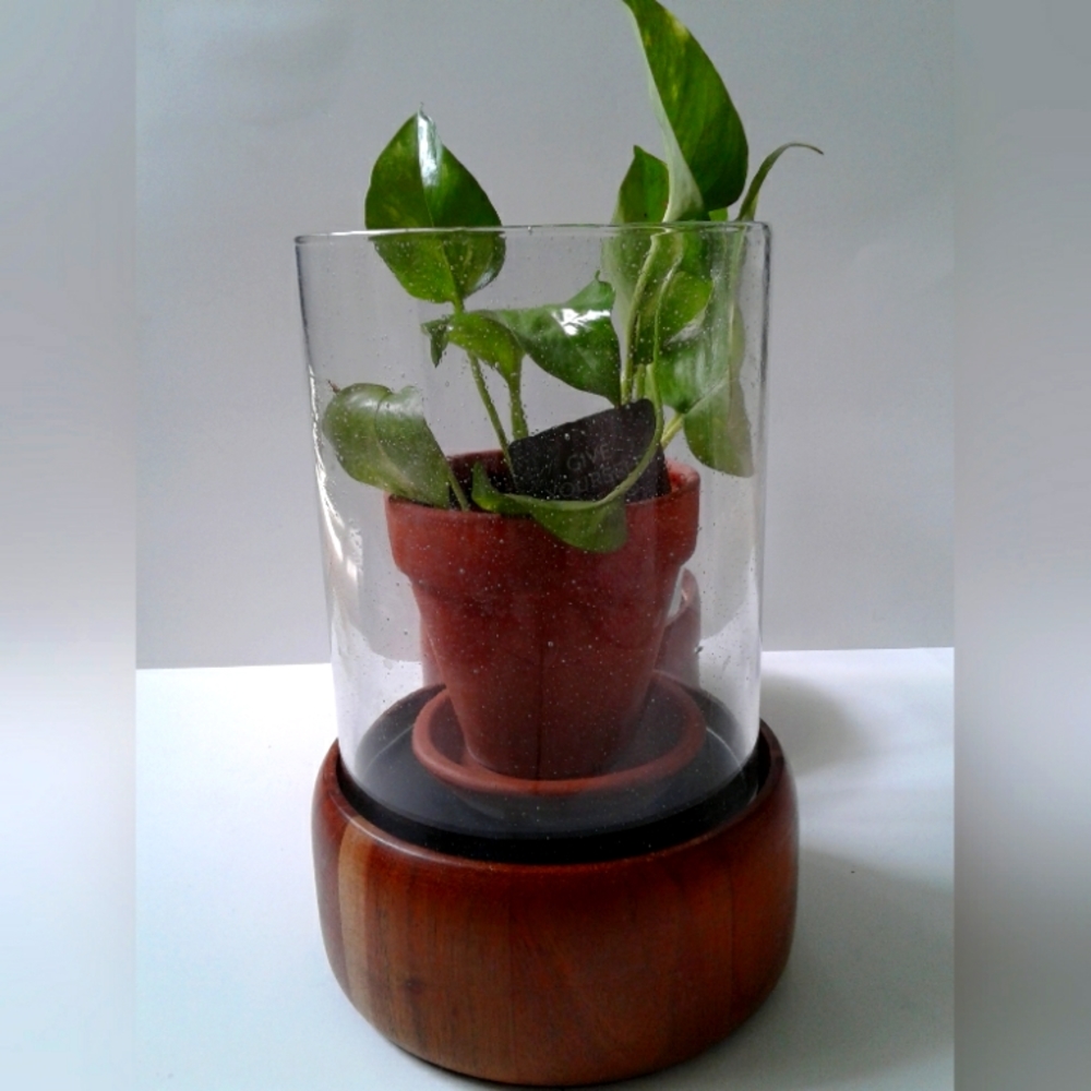 Glass hurricane (1) with wood stand LAST ONE!
